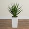 Nearly Natural; 37" UV Resistant Artificial Agave Plant in White Tower Planter (Indoor/Outdoor); Category:Trees & Floor Plants; Image:4